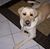 Sondra Wissner's profile image