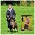 Jess Dunsdon's profile image