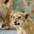 Judy McMullen Hereid's profile image