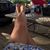 Holly Bowman Wendel's profile image