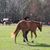 Cybill Adams Beaudoin's profile image