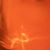 Karl Koopmann's profile image