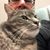 Mike Cohen's profile image