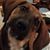 Michele Bonner Clark's profile image