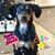 Donna R. Dauernheim's profile image