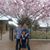 Pam McDaniel Wright's profile image