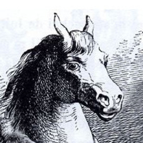 Houyhnhnm's profile image
