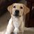 David Graham's profile image
