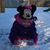 Jessica Cappiello Stephens's profile image