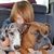 Debbie Ritter's profile image