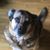 Denise Matelski's profile image