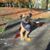 Lee Boelter's profile image