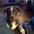 Sharene Rausch's profile image