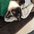Linda Caparco's profile image