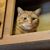 Kay Leith's profile image