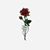 Mya Toney's profile image