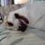 Sue Rampe Smargiassi's profile image
