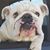 Steve Dorr's profile image