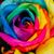 Vanessa Matthews's profile image