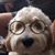 Linda Roberts Mestnik's profile image