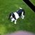 Kathy Lurz's profile image
