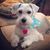 Darryl Mitchell Pennison's profile image
