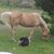 Jane Hance's profile image