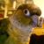 Sue LaMee's profile image