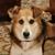 Darryl Otto's profile image