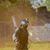 Dmd Robinson's profile image