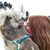 Jasika Denet's profile image