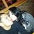 Ezekiel Hernandez's profile image
