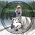 Kathy Ingallinera's profile image