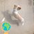 Janie Messina's profile image