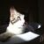 Crissy Yates's profile image
