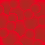 SilentDrummer C.'s profile image