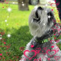 Christina Mills's profile image