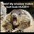 Julie Adams's profile image
