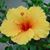 Kathy Sanders's profile image