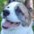 Penny Rich's profile image