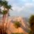 Cecilia M Laureys's profile image