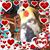 Loretta Rinzel's profile image