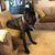 Debora Lee Lowery's profile image