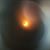 Lenora Hazell's profile image