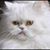 Cathleen Mcdunn's profile image