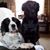 Christine Atkinson's profile image