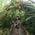 Onya Schroeder's profile image