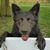 Dodie Weaver's profile image