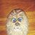 Wendy O'Leary's profile image
