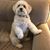 Kelly Johnstone Blankenship's profile image
